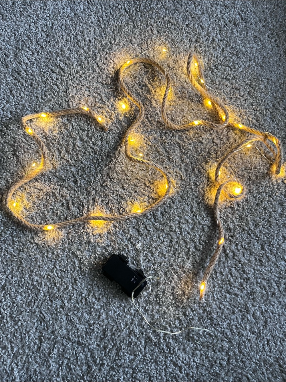 Warm White Rope LED Fairy Lights